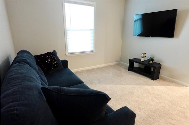 living area featuring baseboards and carpet floors