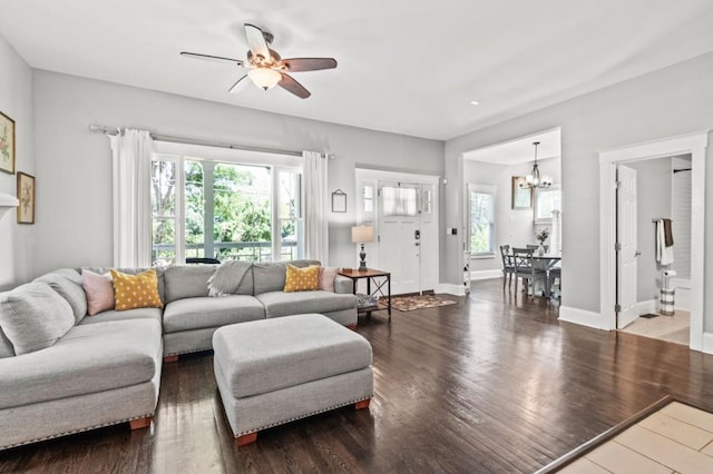 living room featuring ceiling fan with notable chandelier and dark hardwood / wood-style flooring