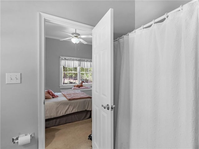 interior space with ceiling fan and crown molding