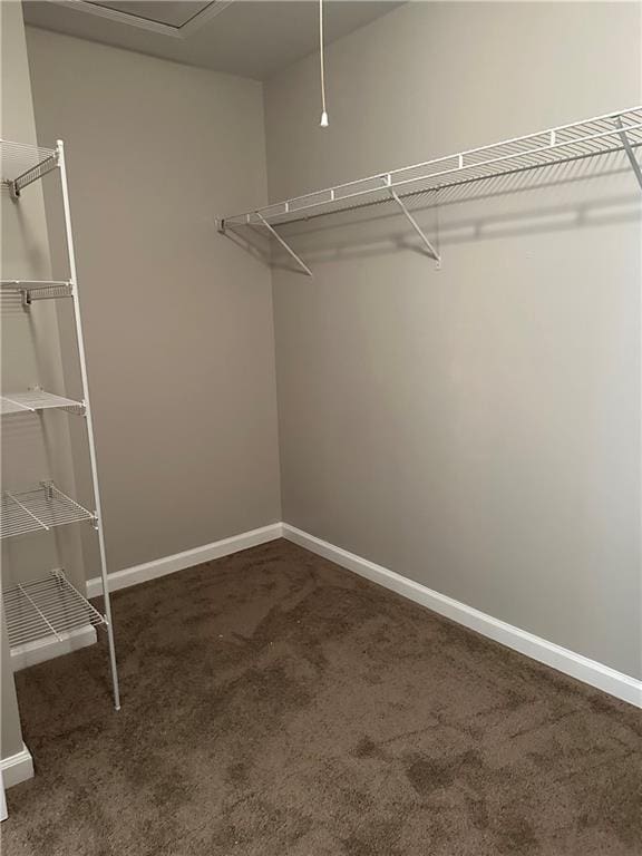 walk in closet featuring dark colored carpet