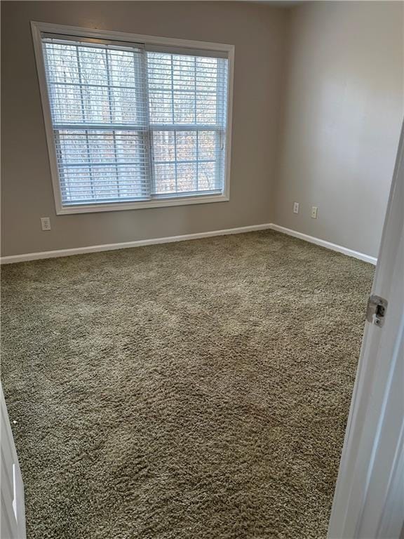 spare room featuring carpet