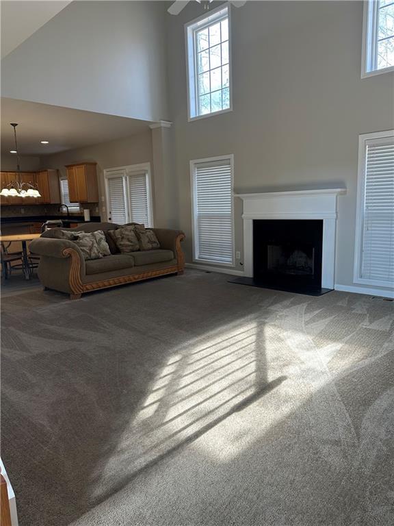 living room with carpet and a high ceiling