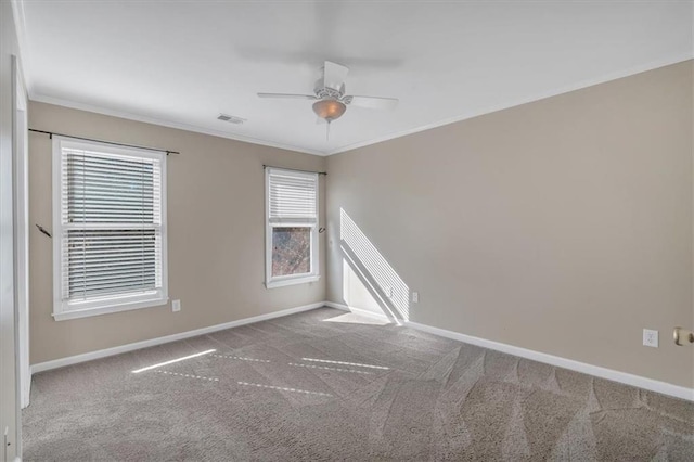 spare room featuring ceiling fan, ornamental molding, and carpet