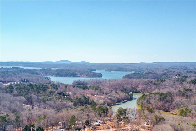 property view of mountains featuring a water view and a view of trees