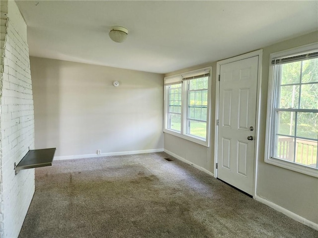 carpeted entrance foyer featuring a wealth of natural light