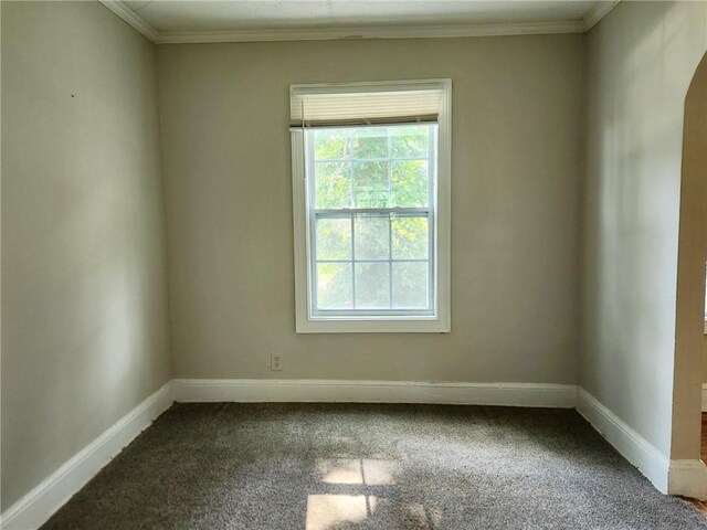 carpeted spare room with crown molding and plenty of natural light