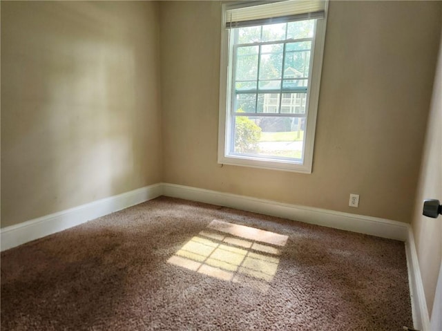 carpeted spare room with a wealth of natural light