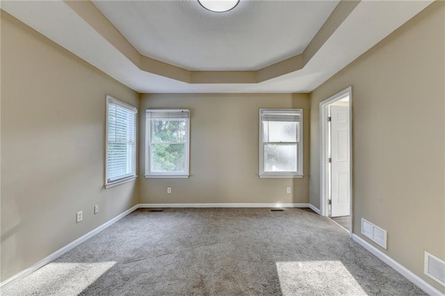 1400 Scenic Brook Trl SW, Conyers, GA 30094 - unfurnished room with carpet, a tray ceiling, and baseboards