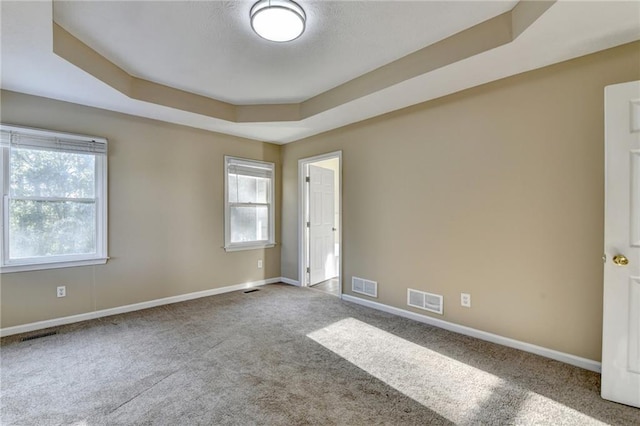 1400 Scenic Brook Trl SW, Conyers, GA 30094 - spare room featuring carpet flooring, a raised ceiling, healthy amount of natural light, and baseboards