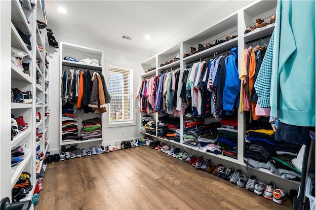 spacious closet featuring dark wood-type flooring