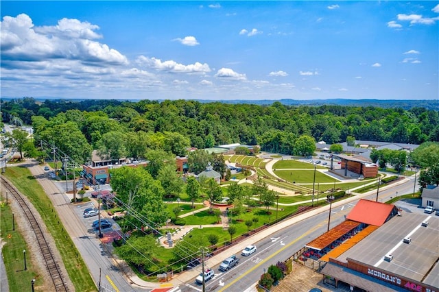 360 Chambers St Unit 402, Woodstock, GA 30188 - aerial view of a heavily wooded area