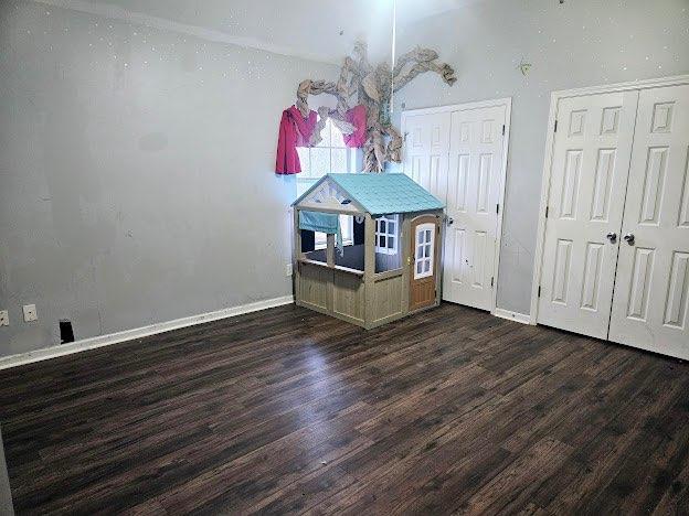 interior space with two closets and dark hardwood / wood-style floors