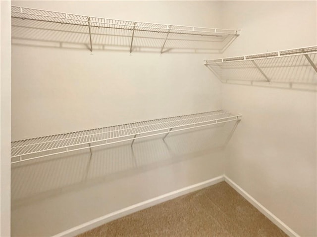 spacious closet with carpet flooring