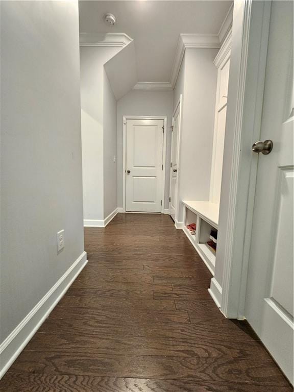 mudroom with ornamental molding and dark hardwood / wood-style flooring