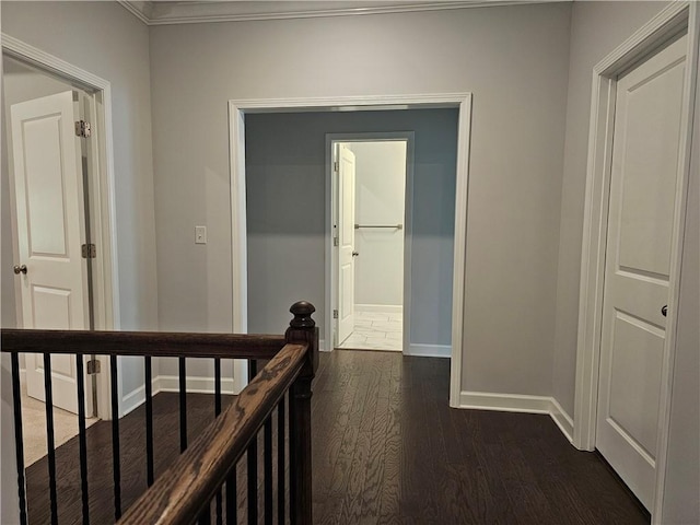 hall featuring dark hardwood / wood-style floors and ornamental molding