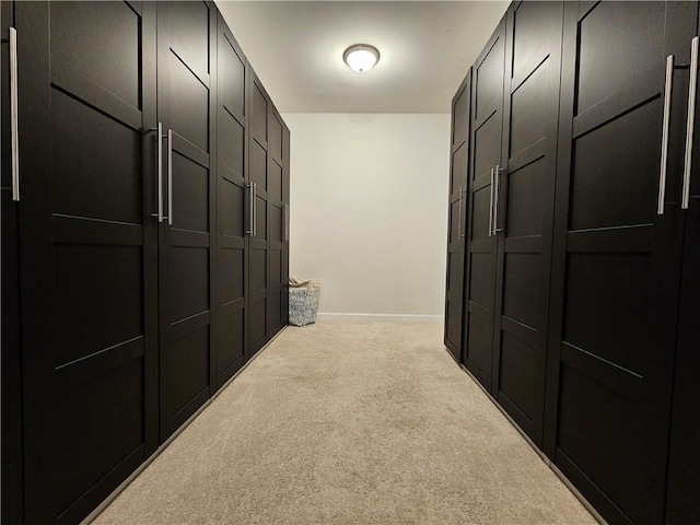 walk in closet with light carpet