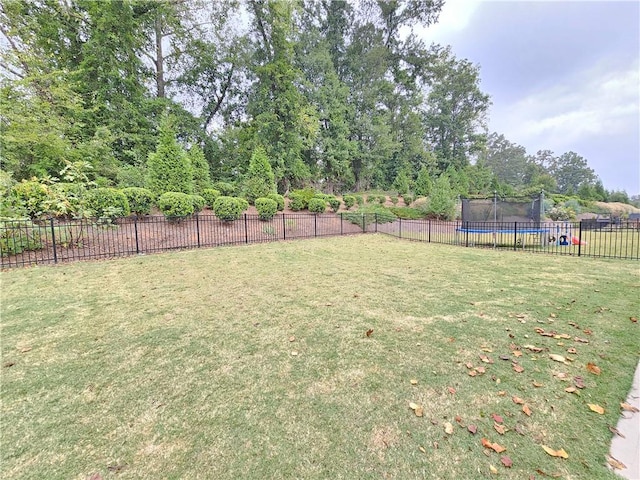 view of yard with a trampoline