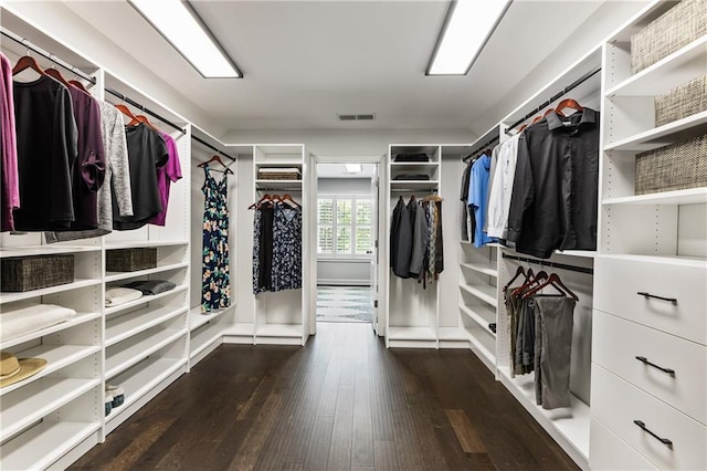 12380 Peyton Farm Way, Alpharetta, GA 30004 - walk in closet with wood-type flooring