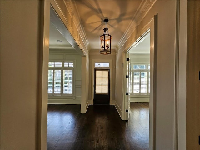 foyer entrance with dark wood-type flooring, crown molding, and a chandelier