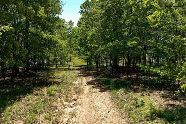 view of local wilderness