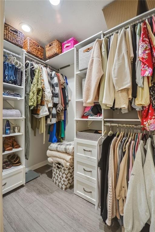 spacious closet featuring light hardwood / wood-style flooring