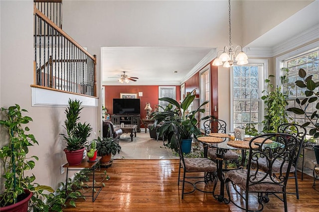 dining room featuring hardwood / wood-style floors, ceiling fan with notable chandelier, and crown molding