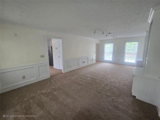 639 Royal Abbey Dr, Stone Mountain, GA 30088 - unfurnished room with a decorative wall, wainscoting, carpet, and track lighting