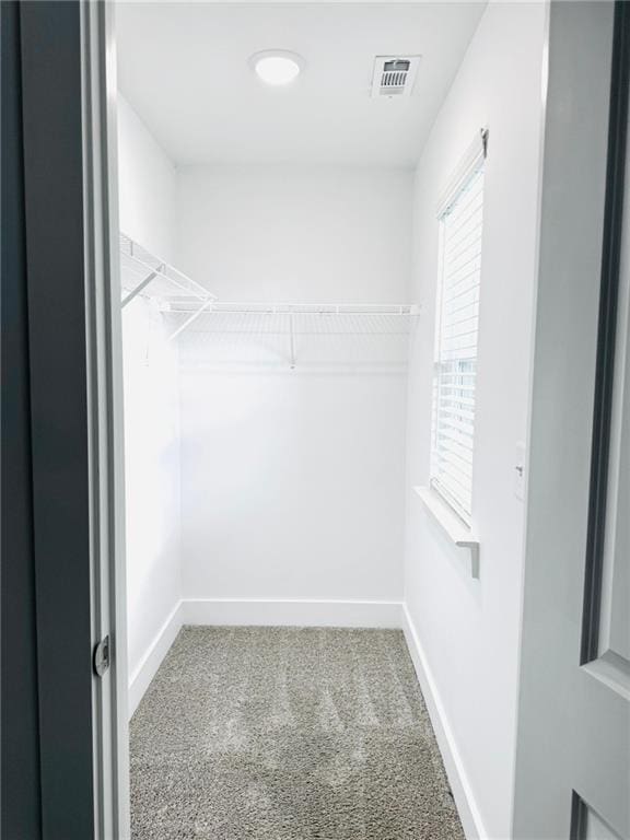 walk in closet with carpet