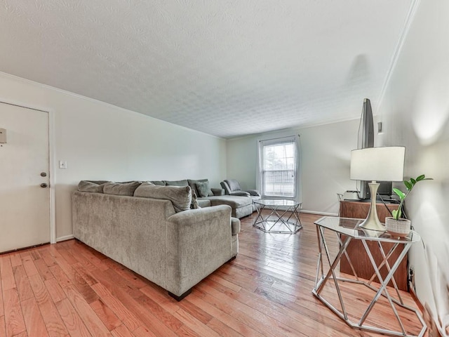 living room featuring crown molding, a textured ceiling, and light wood finished floors