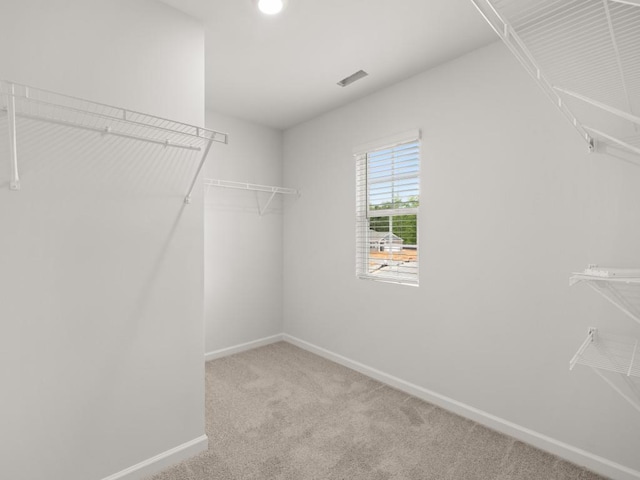 885 Lost Creek Blvd, Dallas, GA 30132 - walk in closet featuring carpet floors