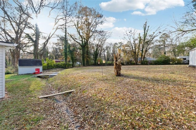 view of yard featuring a storage unit