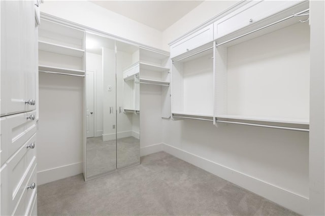 spacious closet featuring light colored carpet