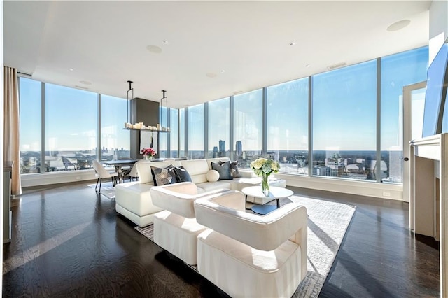 living room with dark hardwood / wood-style floors