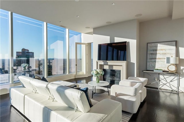 living room with dark hardwood / wood-style floors