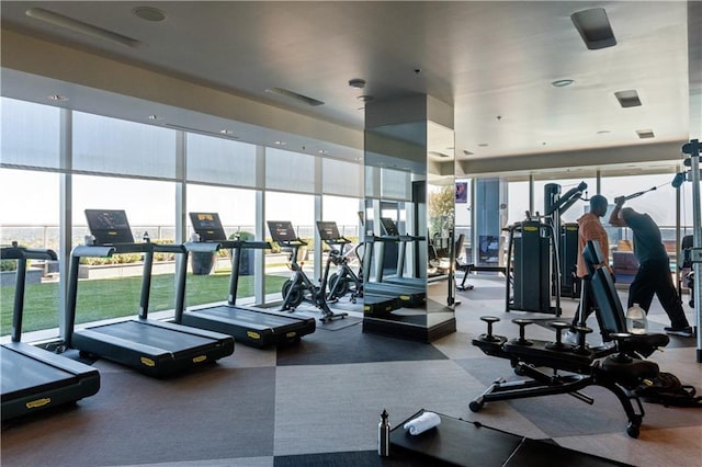 exercise room with expansive windows and a healthy amount of sunlight