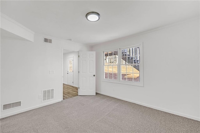 spare room with carpet and crown molding