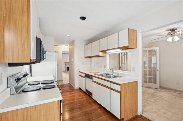 kitchen with a sink, ceiling fan, dishwasher, and light countertops
