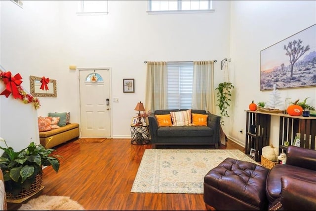 living room featuring hardwood / wood-style flooring