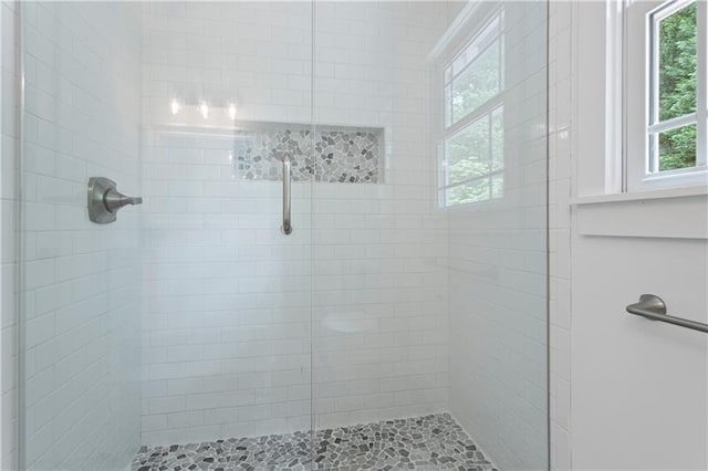 bathroom featuring a shower with shower door