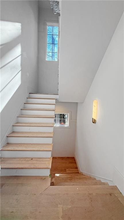 staircase with hardwood / wood-style floors