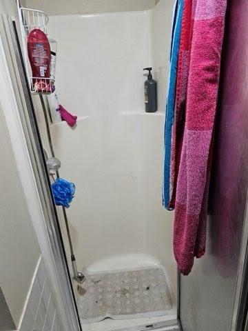 bathroom featuring a shower