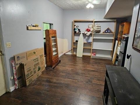 storage featuring ceiling fan