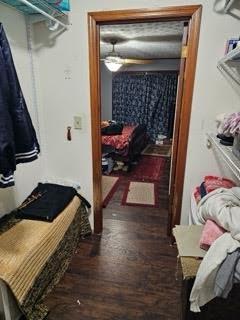 walk in closet with dark hardwood / wood-style flooring