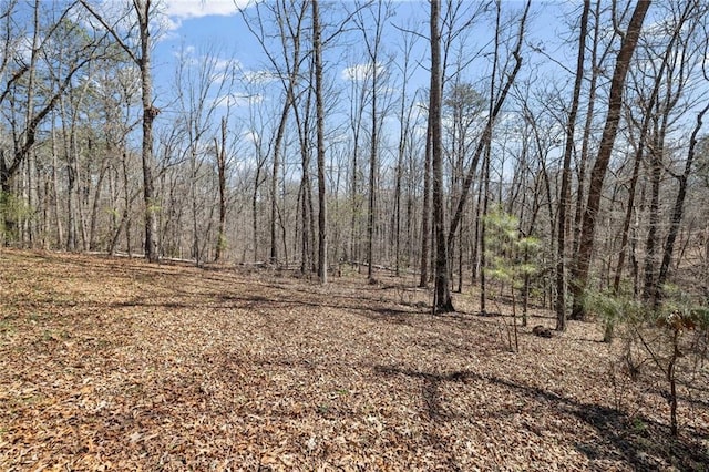 view of local wilderness with a wooded view