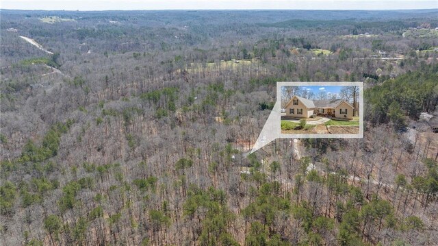 aerial view with a view of trees