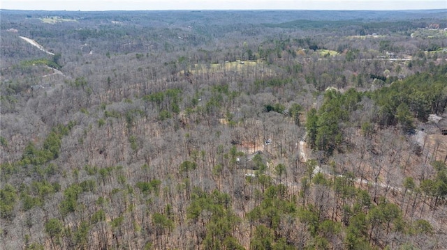 aerial view with a wooded view