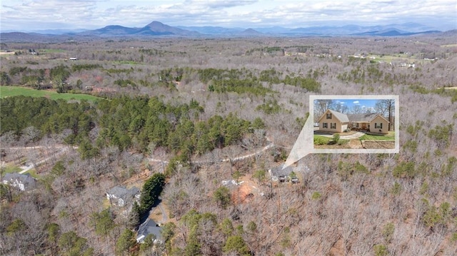 bird's eye view featuring a mountain view
