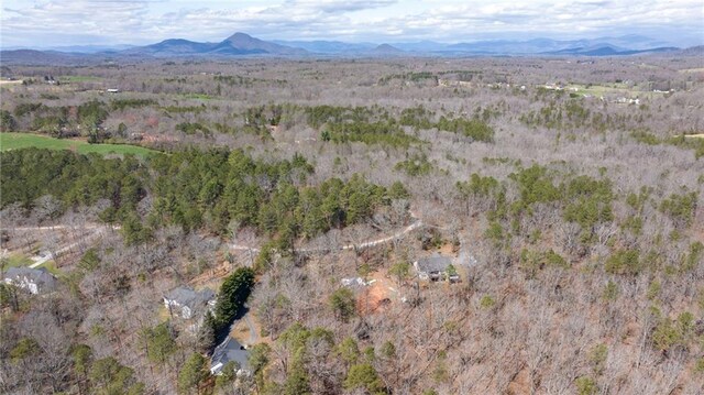 drone / aerial view with a mountain view