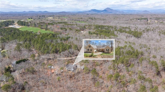 drone / aerial view with a mountain view