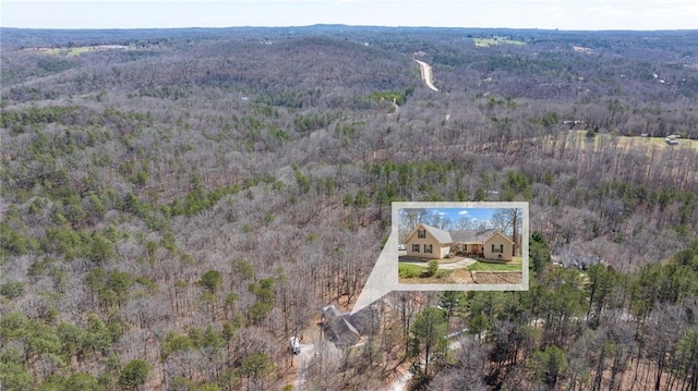 bird's eye view featuring a forest view